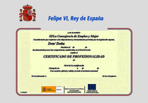 certificado profesional en yoga